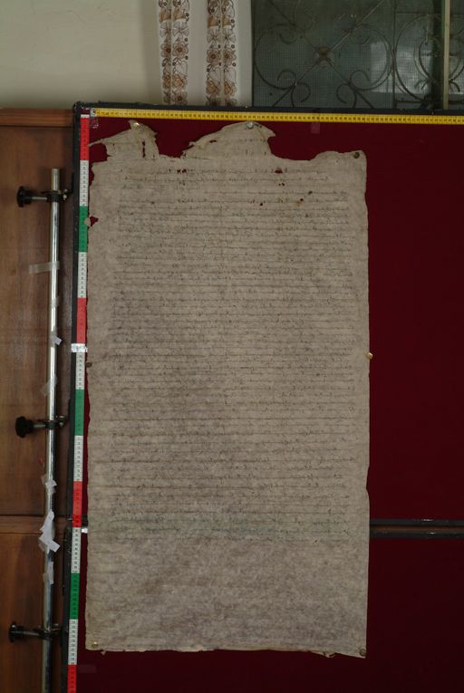 canvas: 1328c_LTWA_570