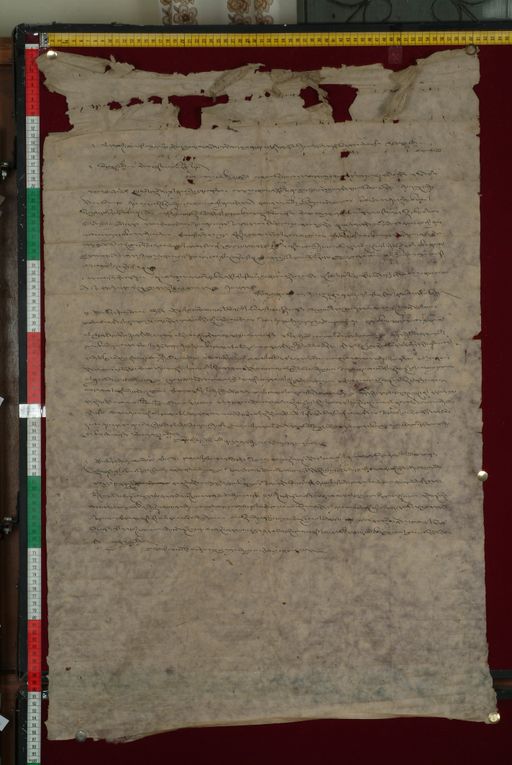 canvas: 1329c_LTWA_571