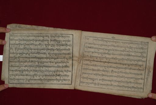 canvas: 1323e_LTWA_565