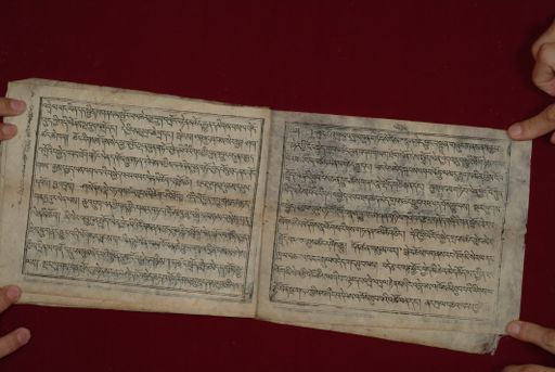 canvas: 1323g_LTWA_565