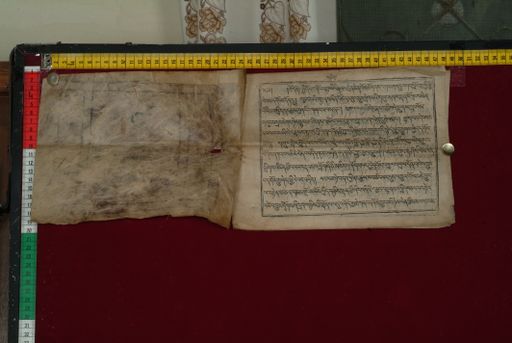 canvas: 1323c_LTWA_565