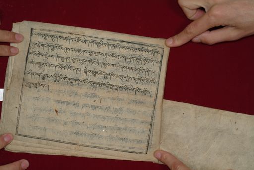 canvas: 1323h_LTWA_565