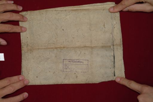 canvas: 1323i_LTWA_565