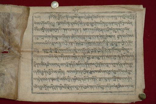 canvas: 1323d_LTWA_565