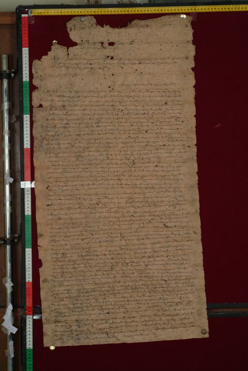 canvas: 1330c_LTWA_572