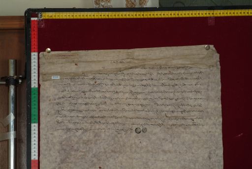 Library of Tibetan Works and Archives (LTWA) ID 3993 (1326_LTWA_568)