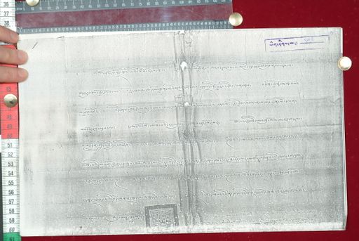 Library of Tibetan Works and Archives (LTWA) ID 3995 (1630_LTWA_871)