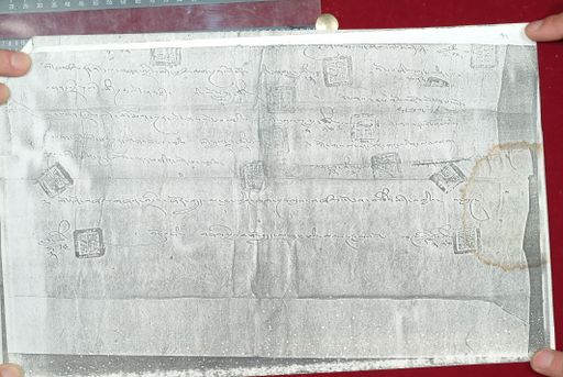 canvas: 1629h_LTWA_870