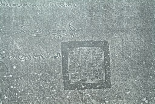 canvas: 1626c_LTWA_867