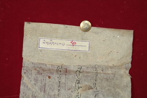 Library of Tibetan Works and Archives (LTWA) ID 4005 (0905_LTWA_80)