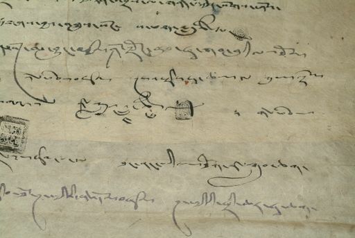 canvas: 0910n_LTWA_85