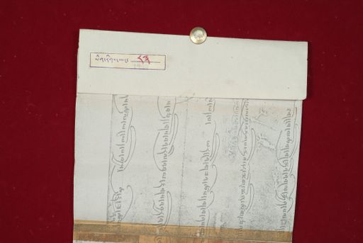 Library of Tibetan Works and Archives (LTWA) ID 4007 (0908_LTWA_83)