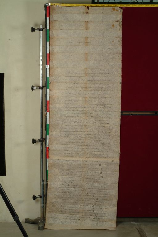 canvas: 0938b_LTWA_110