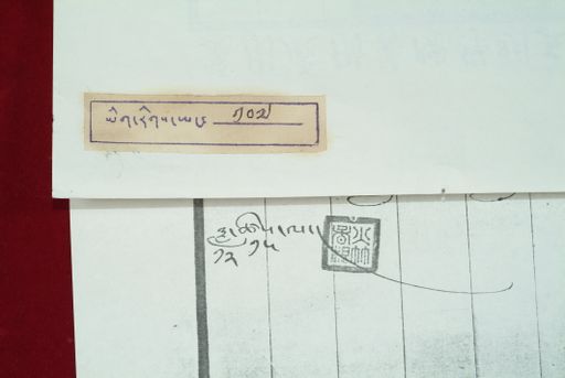 Library of Tibetan Works and Archives (LTWA) ID 4019 (0935_LTWA_107)