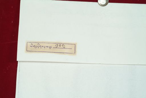Library of Tibetan Works and Archives (LTWA) ID 4022 (0932_LTWA_104)