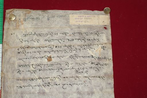 canvas: 1496c_LTWA_738