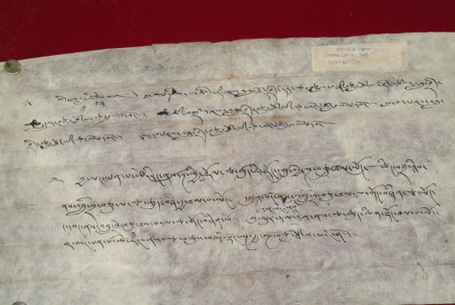 canvas: 1495c_LTWA_737