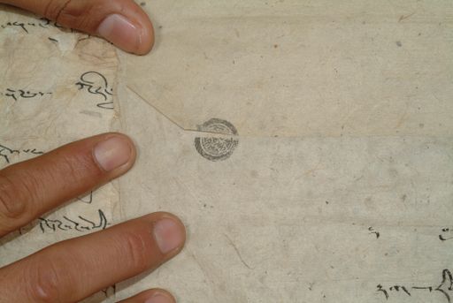 canvas: 1286ci_LTWA_528