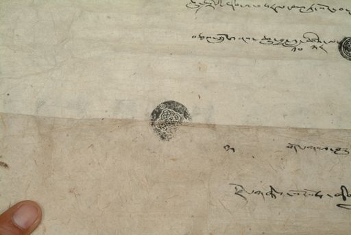 canvas: 1286bl_LTWA_528