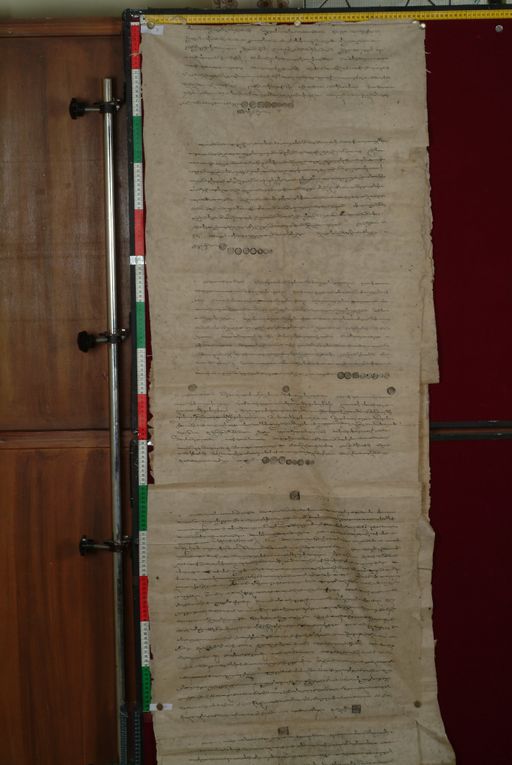 canvas: 1286f_LTWA_528