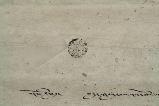 canvas: 1286dn_LTWA_528