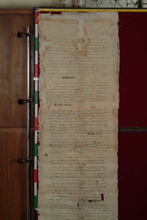 canvas: 1286b_LTWA_528