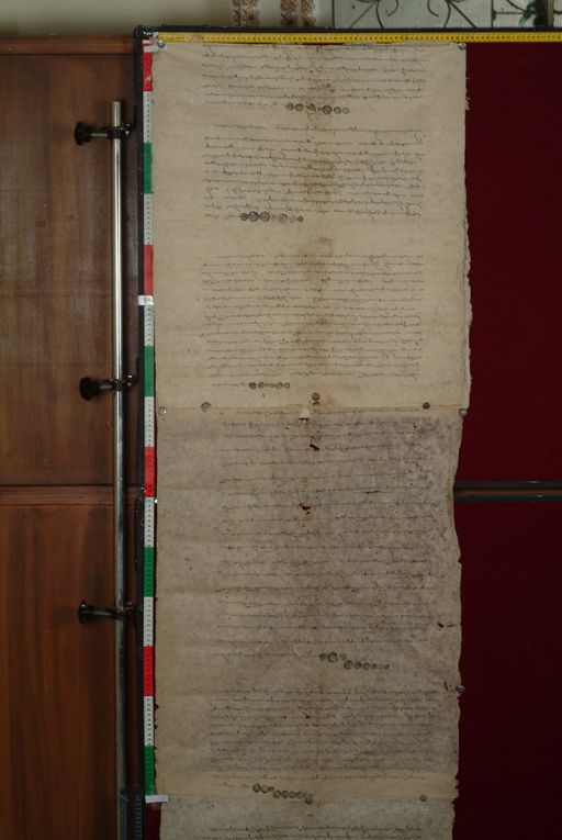 canvas: 1286c_LTWA_528