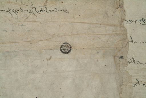 canvas: 1286bp_LTWA_528