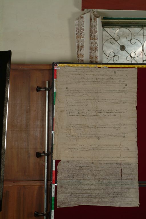 canvas: 1282c_LTWA_524