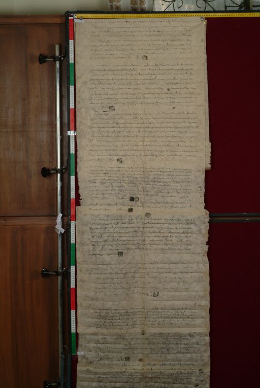 canvas: 1287d_LTWA_529