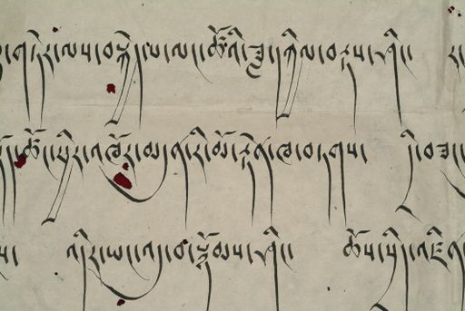 canvas: 1290i_LTWA_532