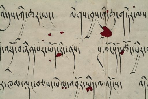 canvas: 1290h_LTWA_532