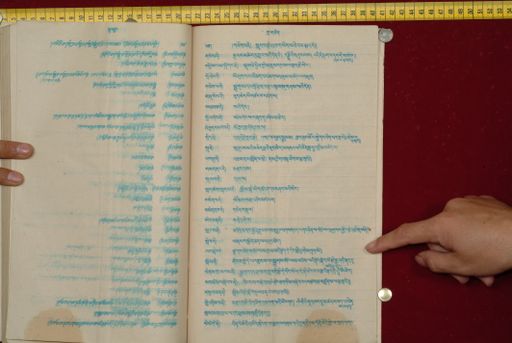 canvas: 1561cf_LTWA_802