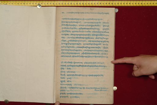 canvas: 1561c_LTWA_802