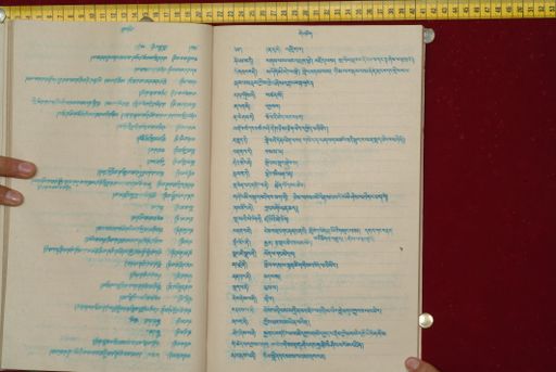 canvas: 1561ar_LTWA_802