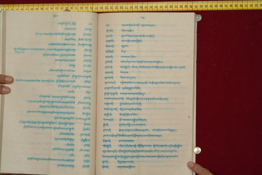 canvas: 1561bf_LTWA_802