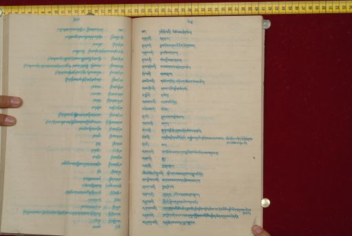 canvas: 1561bp_LTWA_802