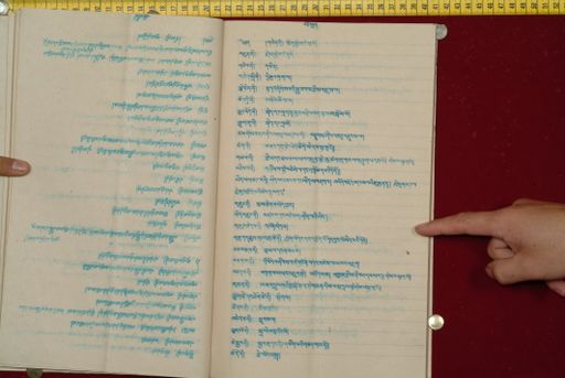 canvas: 1561t_LTWA_802