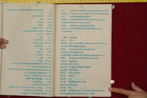 canvas: 1561ap_LTWA_802