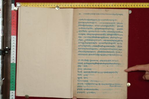 canvas: 1561b_LTWA_802