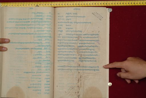 canvas: 1561ci_LTWA_802