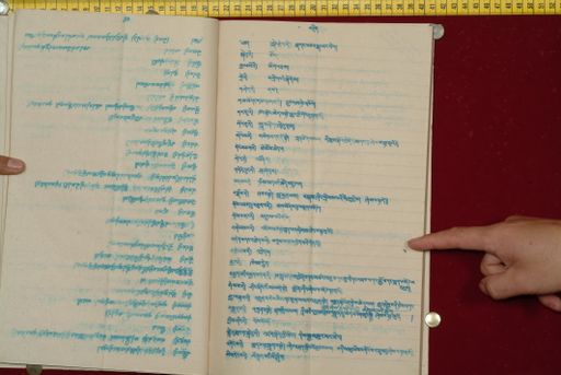 canvas: 1561m_LTWA_802