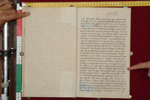 canvas: 1562i_LTWA_803