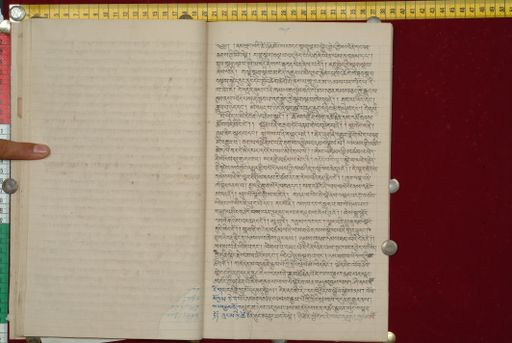 canvas: 1562z_LTWA_803