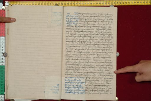 canvas: 1562l_LTWA_803