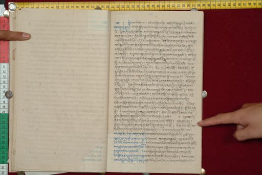 canvas: 1562n_LTWA_803