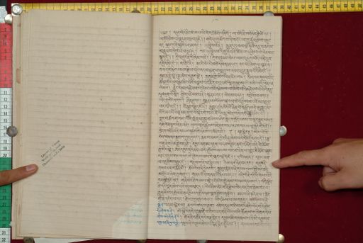 canvas: 1562p_LTWA_803