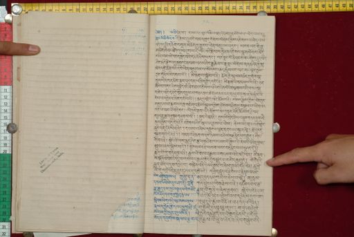 canvas: 1562m_LTWA_803