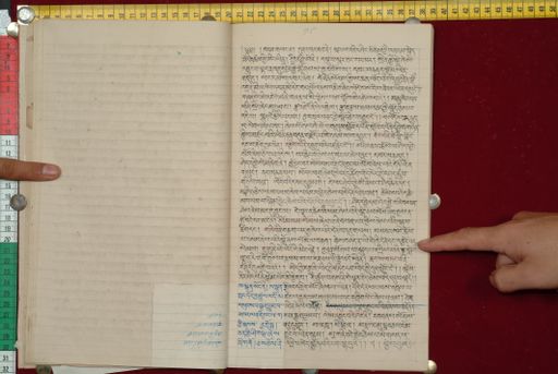 canvas: 1562x_LTWA_803