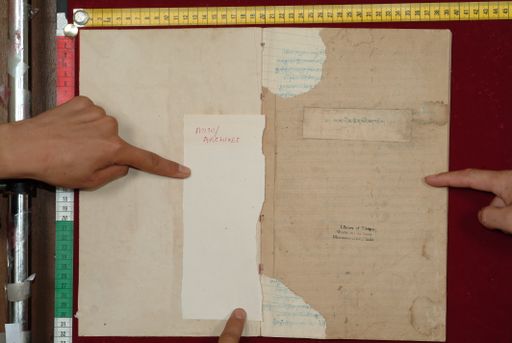 canvas: 1562b_LTWA_803